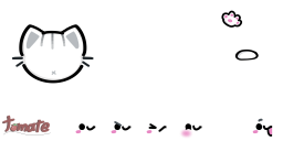 اسکین بازیکن